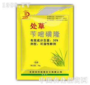 ���r����-̎��