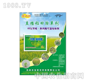 ����-60%�S�׮���¡WP���ݴ�R��