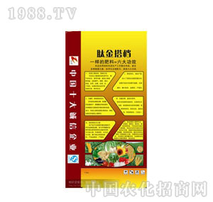 ��ɽ�S��-T-108�Ľ��n