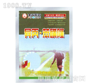 �Sɽ-��������¡