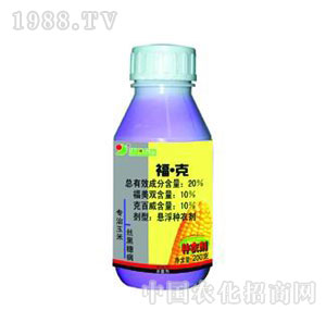 �A�-20%�������׷N��