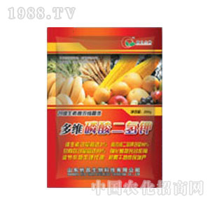 �S��-��S��������