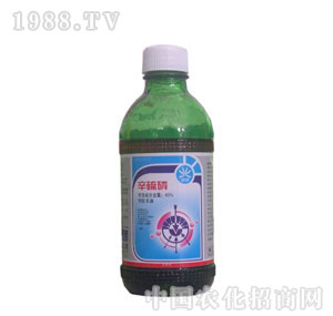 ��������-������