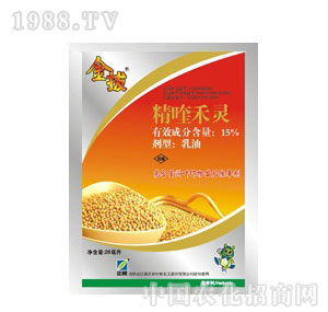 ����F(tu��n)-���