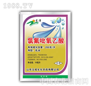 �������-����������