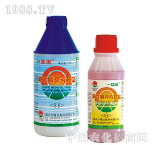 ɳ¡�_(d��)-�ݸ�좮�����