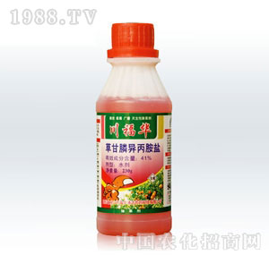 ���Aͨ�_-�ݸ�좮������}