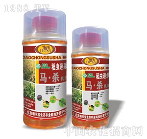 ���G�̌�-���x(ch��ng)�ٚ�