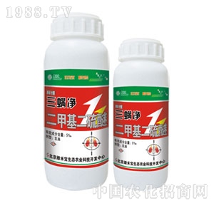 ���G�̌�-���S������