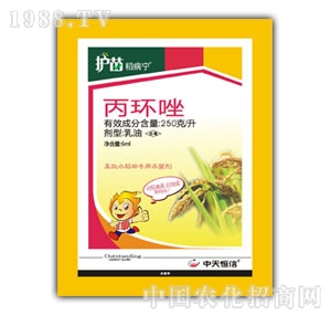 �������-������