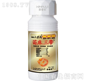 ���՘�-�紲����