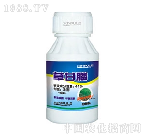 ���՘�-�ݸ��