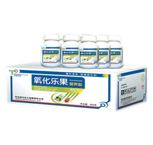 ��������-��������