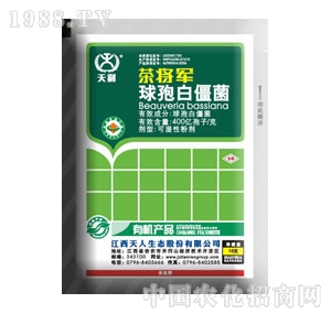 �������B(t��i)-�茢܊