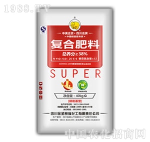 ���󻯹�-�����@��