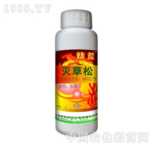 �S��-�����