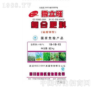 �Ĵ��v��-������͏�(f��)�Ϸ���