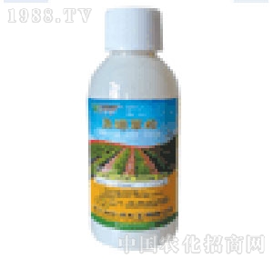 �����_(d��)-���f����