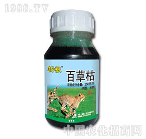 �л�����-�ظ�