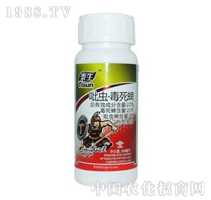 ���-̩�����x������