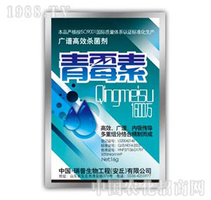 ������-��ù��