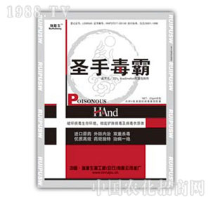 ������-ʥ�ֶ���