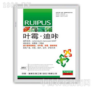 ������-�~ù����