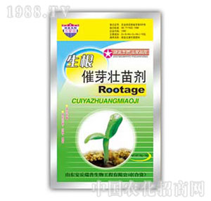 ������-������ѿ���焩