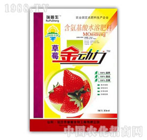 ������-��ݮ������