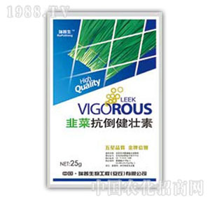 ������-�²˿���������