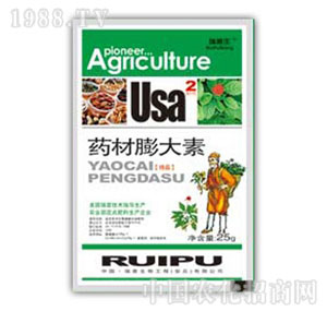 ������-ˎ�������