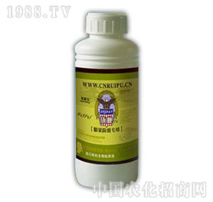 ������-������ь���