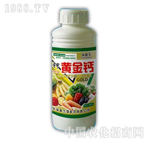 ������-�S���}��⛣�