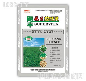 ������-���������`