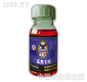 ������-���(l��i)��(zhu��n)��