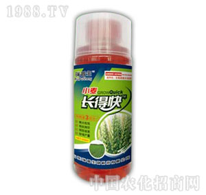 ������-С���L(zh��ng)�ÿ�