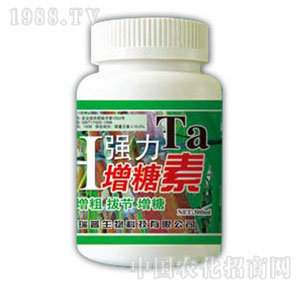 ������-��(qi��ng)��������