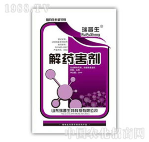 ������-��ˎ����