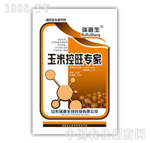 ������-���׿�������