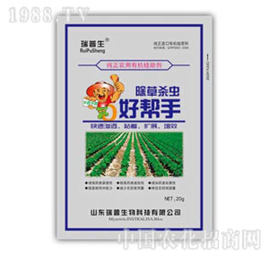 ������-���ݚ��x(ch��ng)�Î���