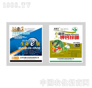 ������-����1̖+��}�\��