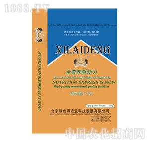 �ļ�-ȫ�I(y��ng)�B(y��ng)�(q��)��(d��ng)��