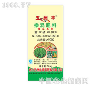 �����S-50%�������