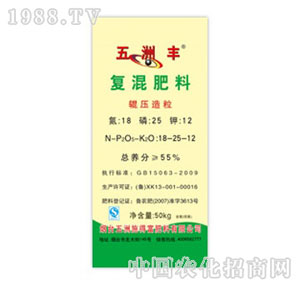 �����S-55%�������݁������