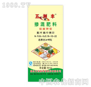 �����S-48%��������������