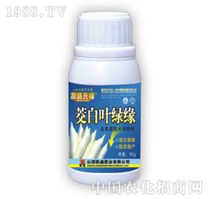 ̽·���h-�����~�G��