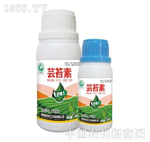 ����-�販ʿ