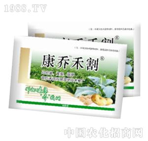 ����-���̸̺����b