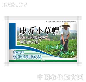 ����-С��ñ������������b��