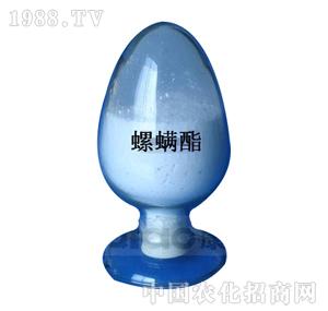 ����-������